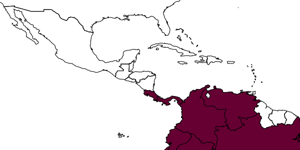 map of Gonatopus pecki     (Olmi, 1991)